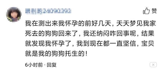 蛇、鲜花、血，这些胎梦暗示了什么？用科学道理给你解释