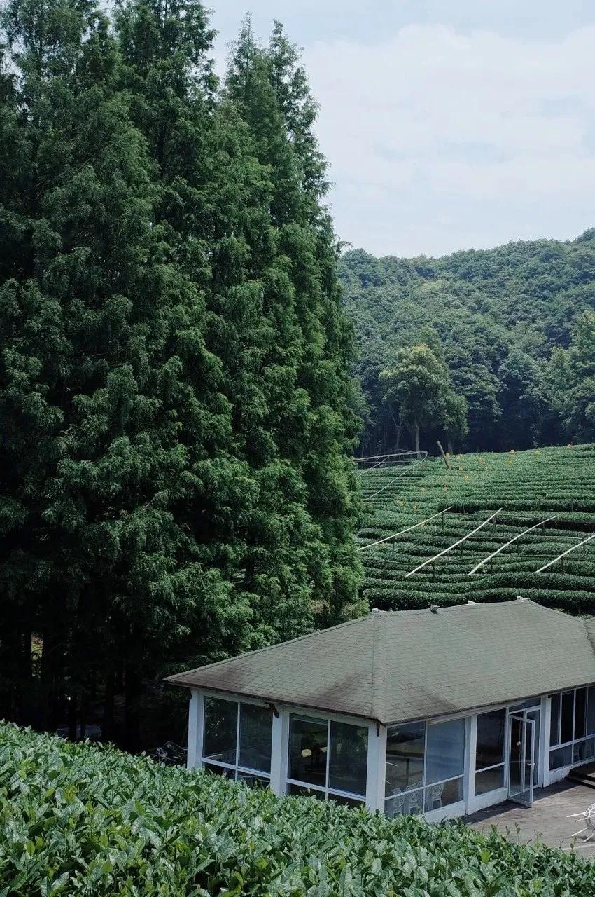 杭州西湖人少景美的地方,杭州人少景美免费景点