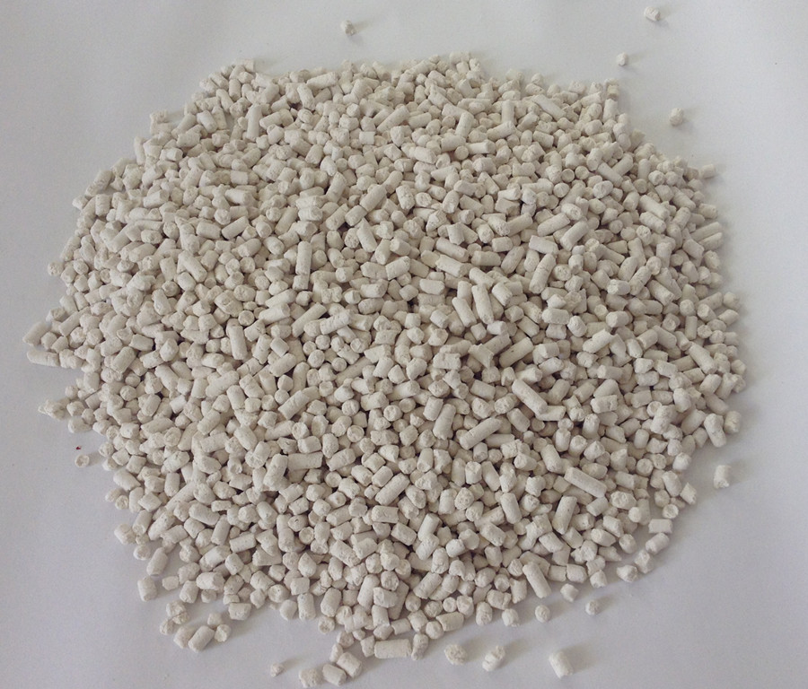 如何教英短蓝猫用猫砂,新手养猫什么猫砂比较好