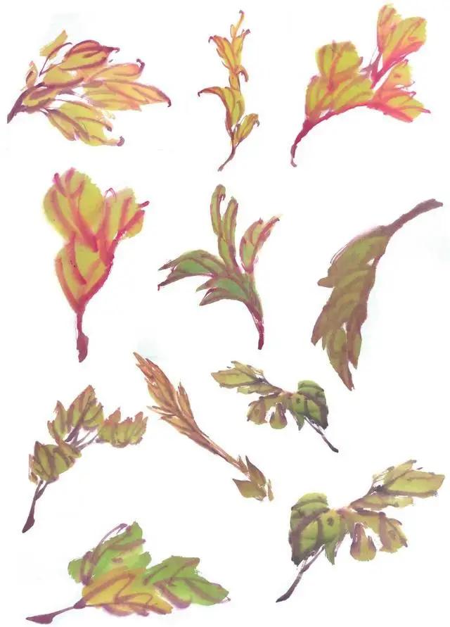 学习写意牡丹画的方法,学习写意牡丹画的步骤