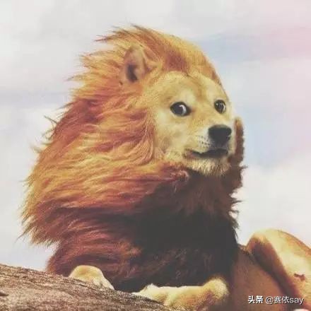 日本本土版资生堂fino发膜,资生堂发膜fino正确使用方法