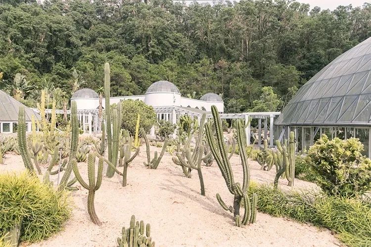 深圳吃喝玩乐两日游推荐,深圳周边游吃喝一日游推荐