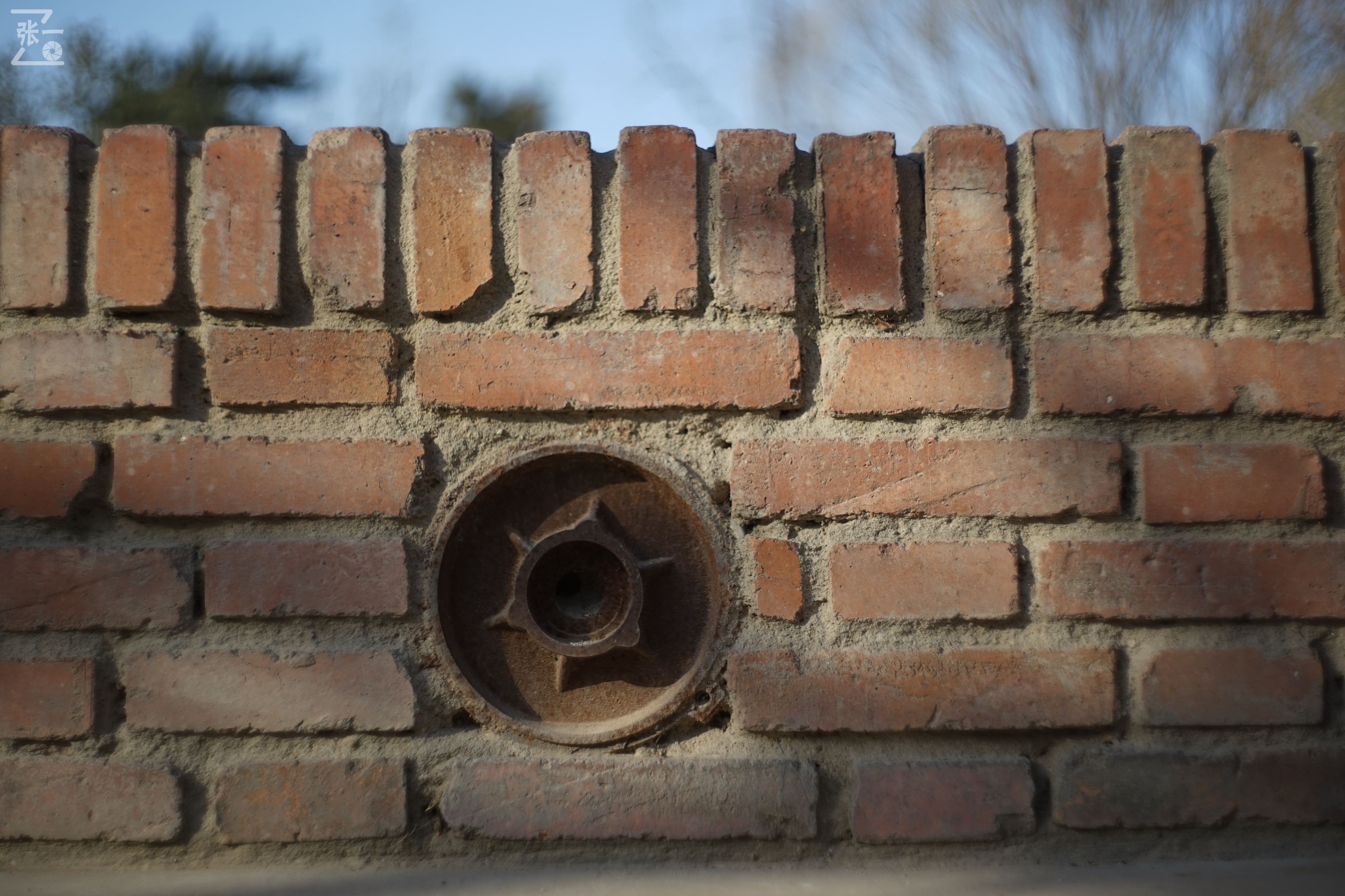 日本进口雅西卡胶卷相机,雅西卡135相机