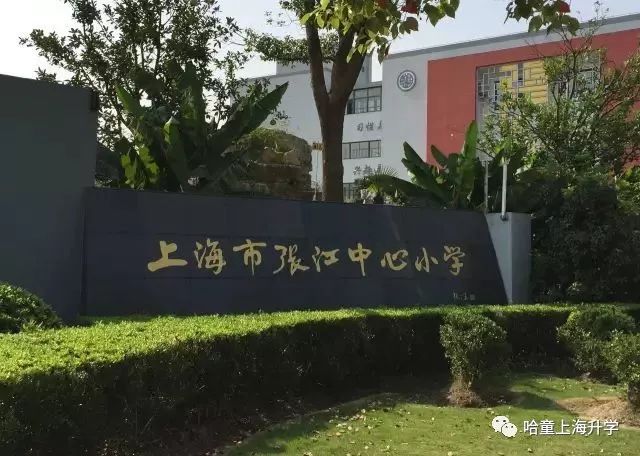 张江学区小学,张江小学学区划分