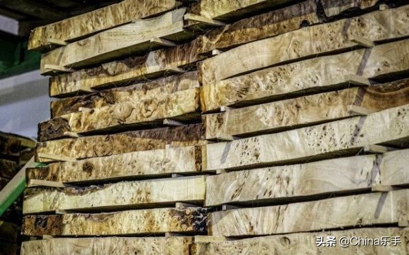 跟随帝声乐器参观世界著名吉他制造商之一Cort印度尼西亚工厂