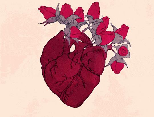 气温太高引起的病叫什么,持续高温39度多带来的后果