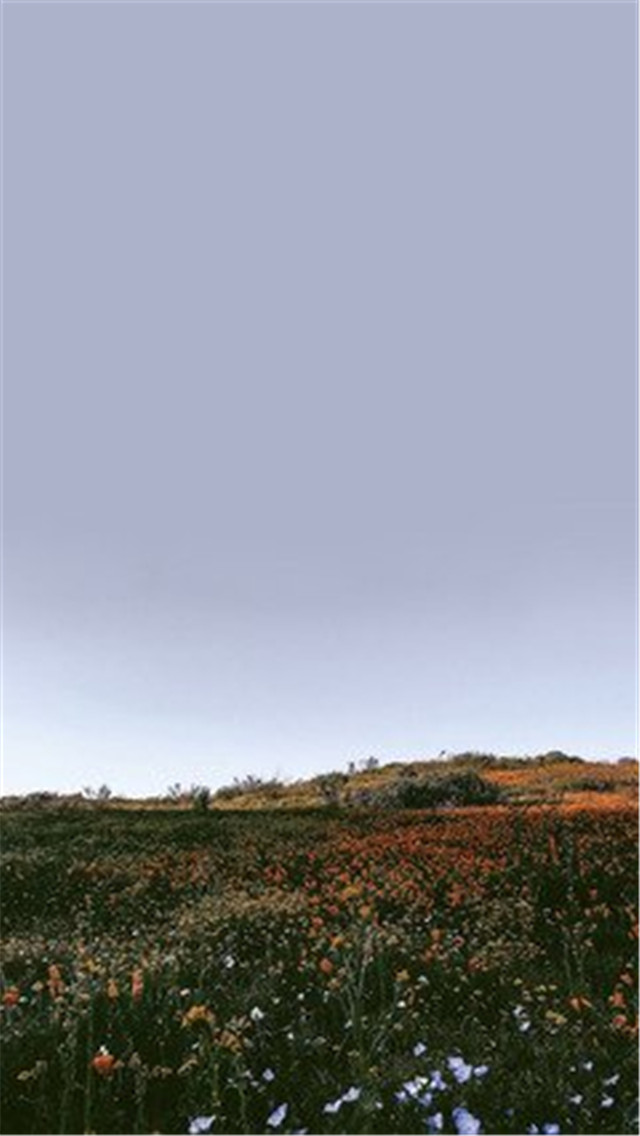 高清风景壁纸无水印全屏壁纸,风景壁纸手机壁纸