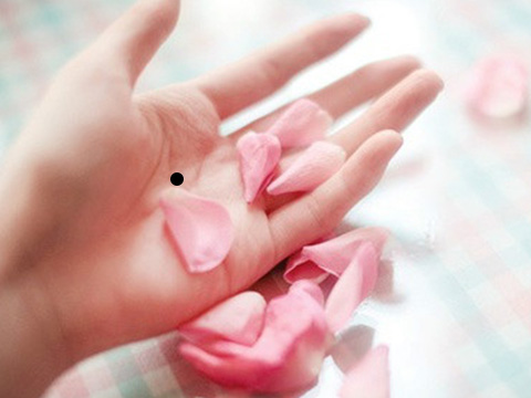 掌心的痣是上辈子的记号吗,左胳膊有痣是前世恋人流下的眼泪