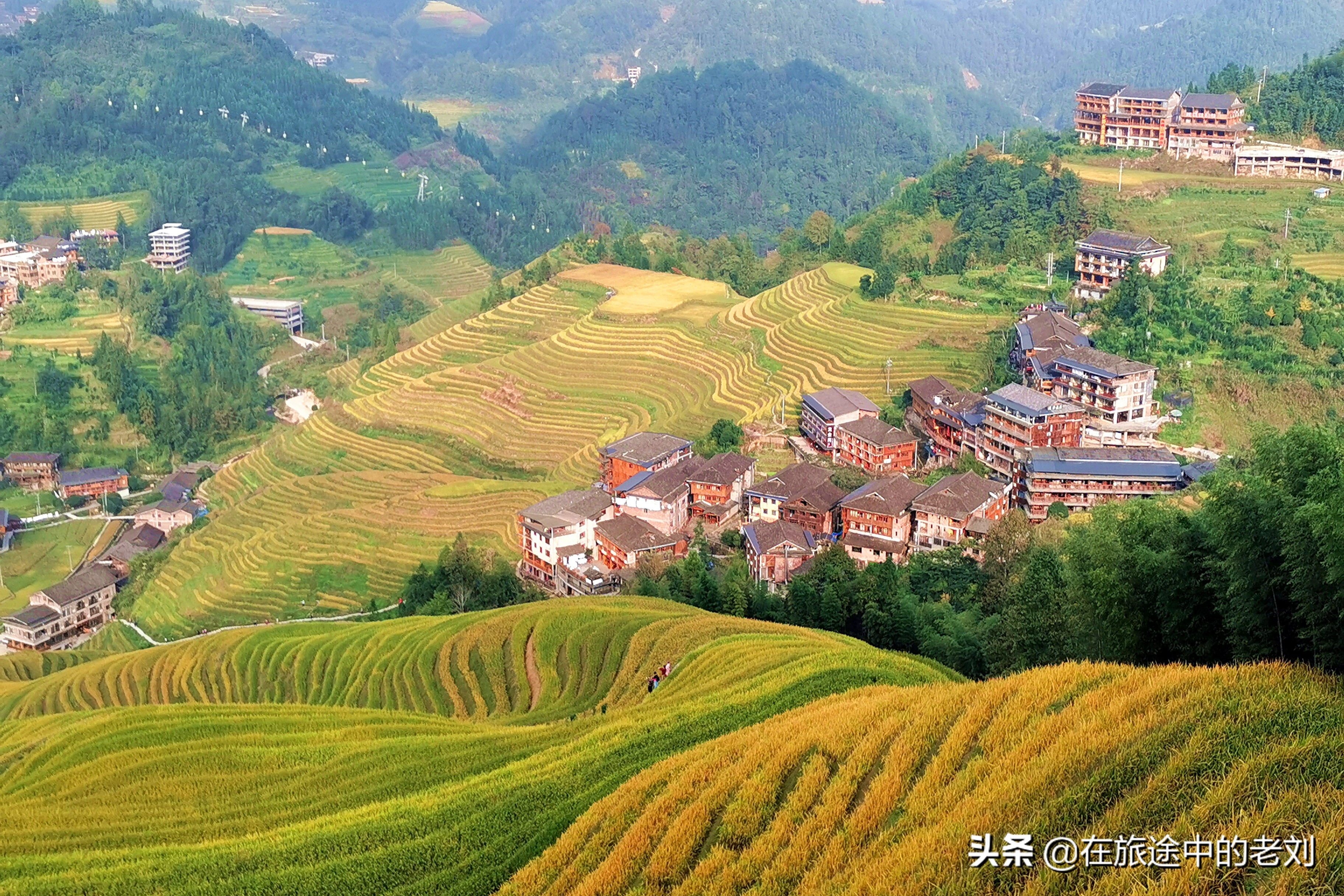 远赴龙脊大寨梯田，追逐今年最后的金黄——桂林七天游1
