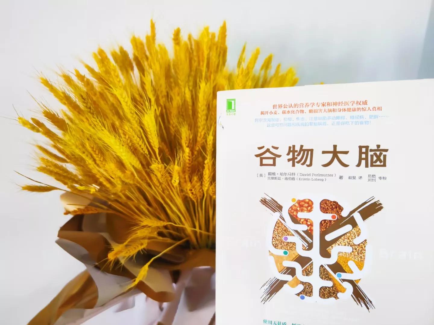 央视推荐谷物大脑,《谷物大脑》解读