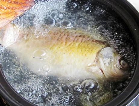 鲫鱼汤的正确做法不煎,鲫鱼汤怎么煎鱼皮不破