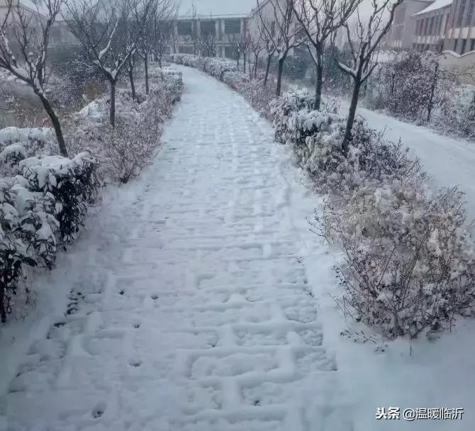 雪后的临沭小城，美得令人窒息