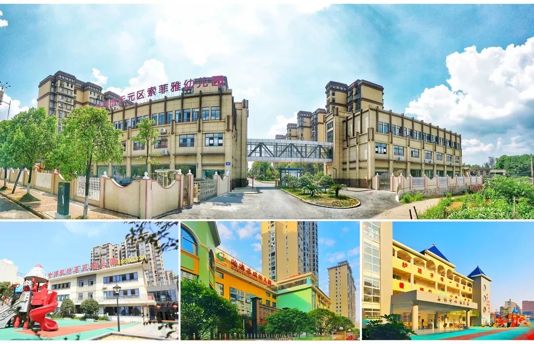 鱼玥茶礼|访哈博教育集团创始人：苏晚辉、雷碧容