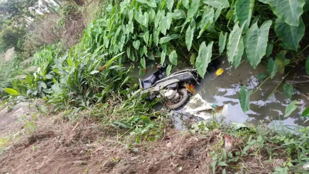斗门8年驾龄老司机开宝马冲下鱼塘！河水即将淹没车顶，关键时刻死里逃生！