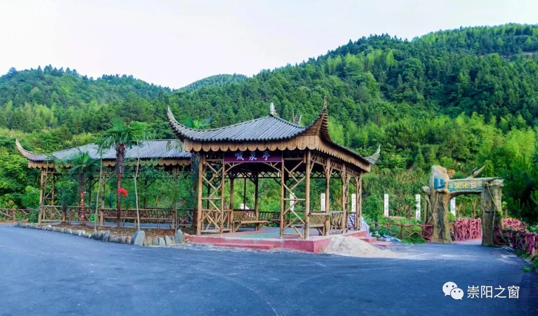 崇阳柃蜜小镇电音节,崇阳县柃蜜小镇最新新闻