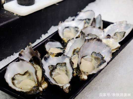 呱呱去旅游,呱呱去内蒙古旅游