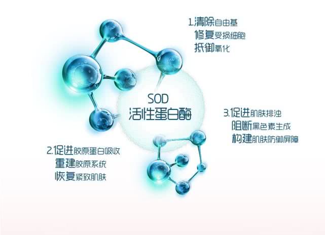 sod玉米胚芽粉到底是什么,sod是啥