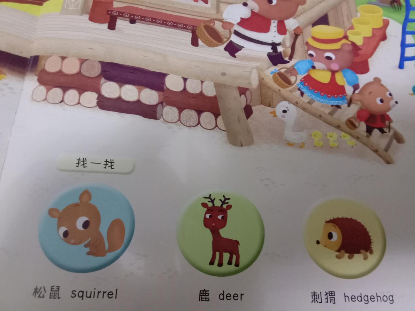 儿童推荐宝藏书籍,儿童看的海底宝藏书籍