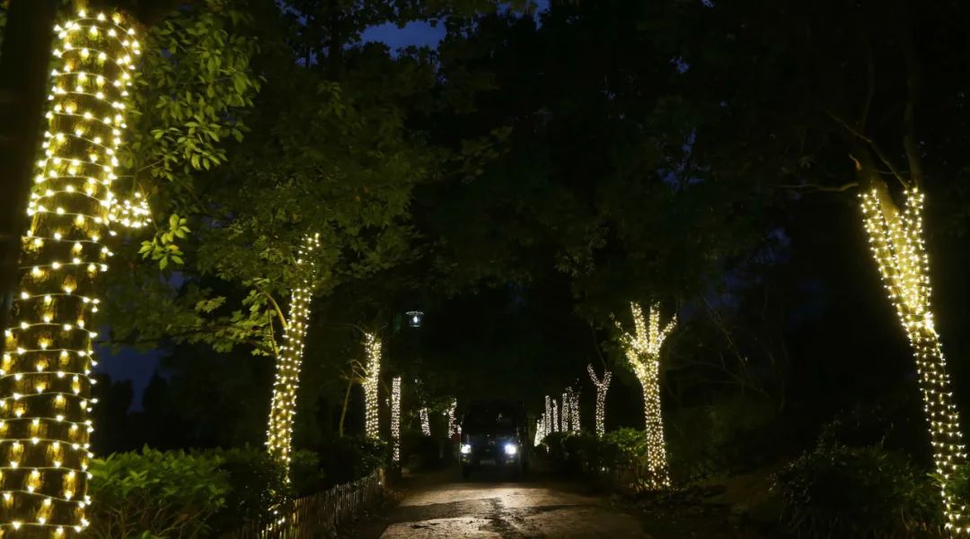 夜新叶，新叶夜，夜夜夜夜夜！唱吧醉仙居，探秘奶茶吧，茶憩戏曲馆，漫步烟花巷……每周六晚