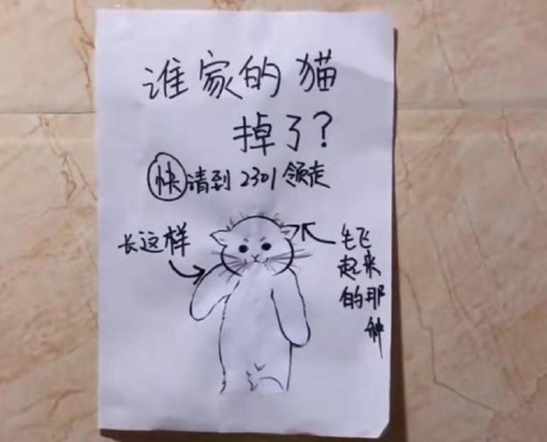 画狗寻狗启事搞笑,寻狗启事画像搞笑