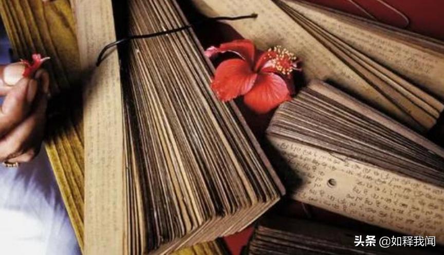 曼陀罗树的寓意和象征,多罗树