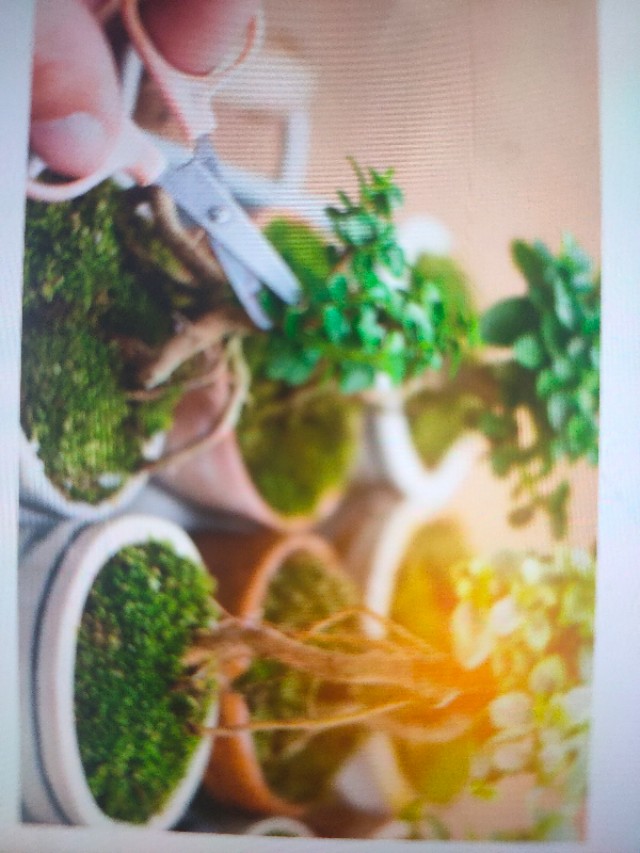 农村创业小生意及利润收益,五个利润高成本低的生意