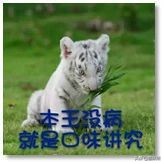 为什么猫咪沉迷吃手指,猫咪为啥沉迷红点