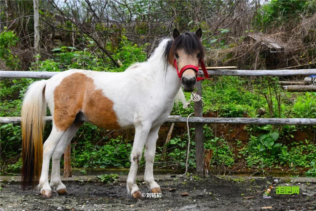 春节你的爱车可以停到这些地方,要过年了你的爱车保养了吗