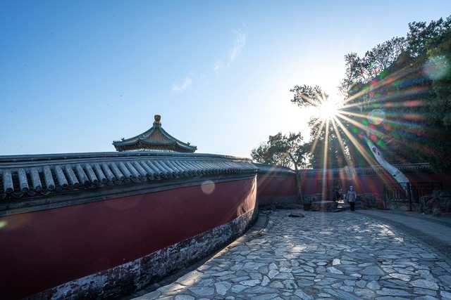 尼康z50mmf1.8,尼康定焦50mmf1.8g镜头拍照效果