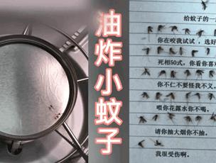 各种搞笑方法干掉蚊子,如何一次干掉100只蚊子