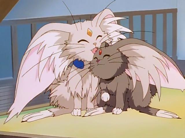 8090中国引进日本动画片,中国引进的日本动画片