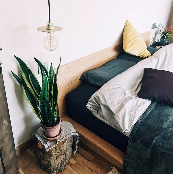 菜吧:她不上班也不靠脸吃饭,住2层小楼,过上了别人做梦都要的日子