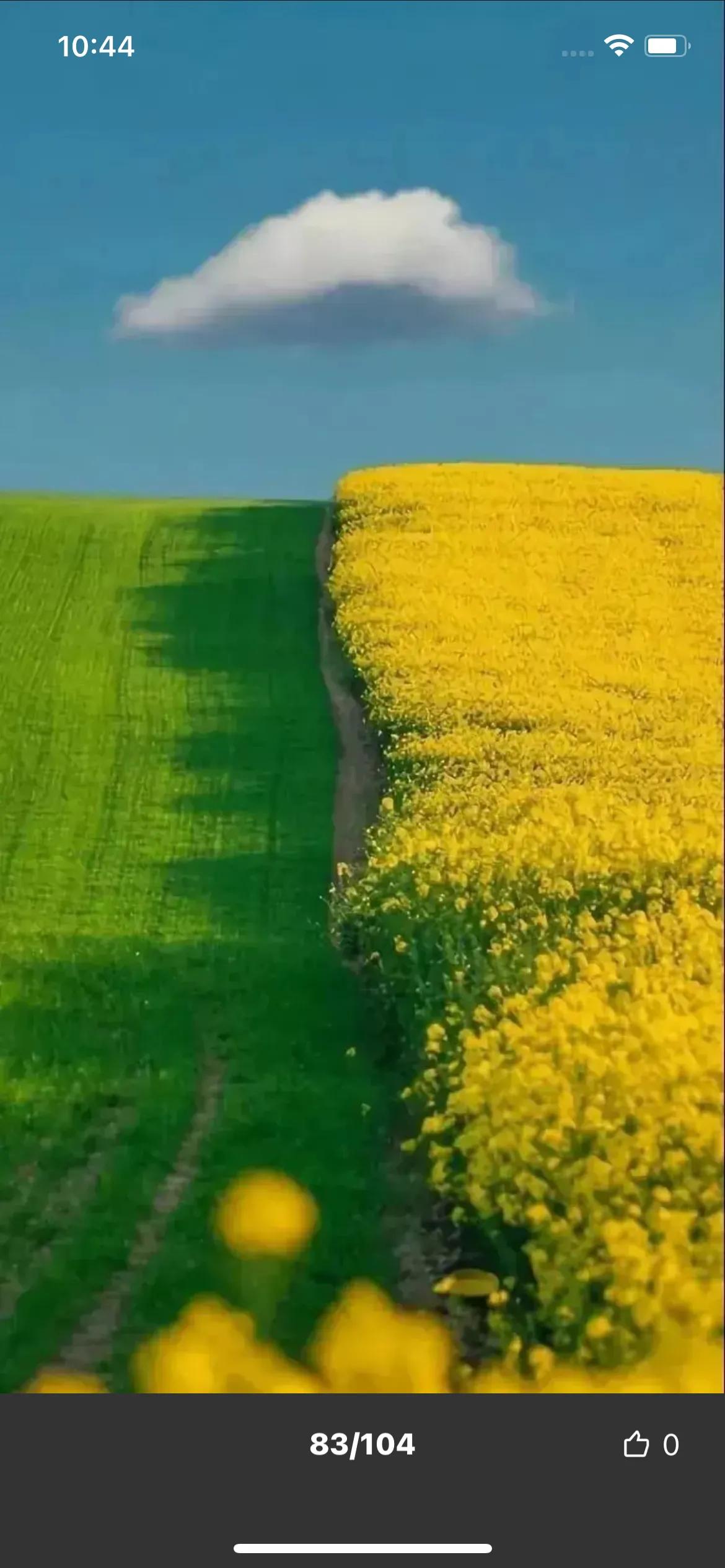 江浙沪方言土话大全搞笑,海派方言大全完整版
