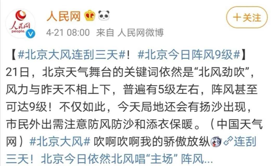 为了在大风中优雅行走，人类都做过哪些沙雕尝试？