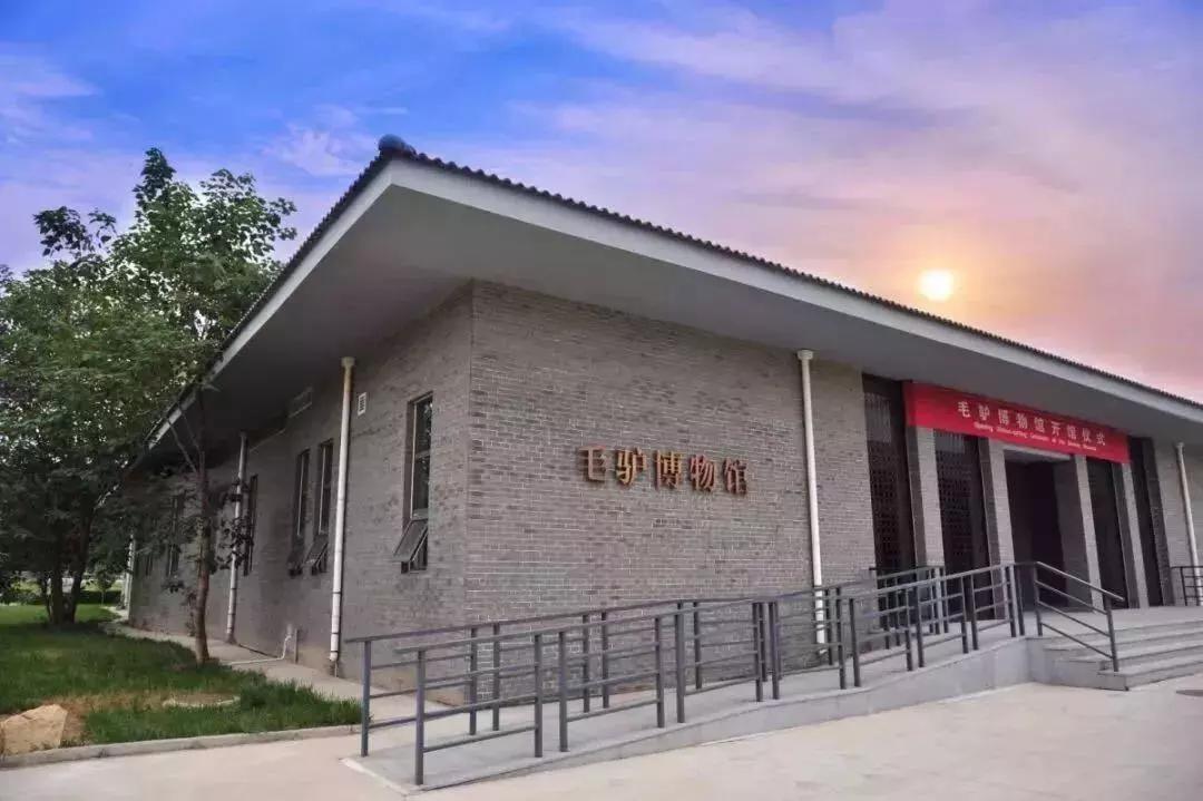 大美在东阿的视频,东阿大美