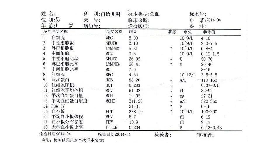 fluentmeshing网格模式介绍,fluentmeshing网格数量在哪看