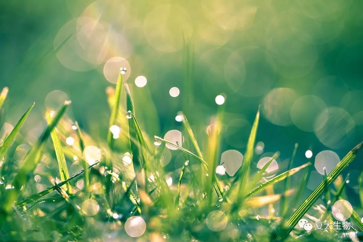 申请水滴筹能筹到钱吗,轻松筹和水滴筹哪个筹钱多