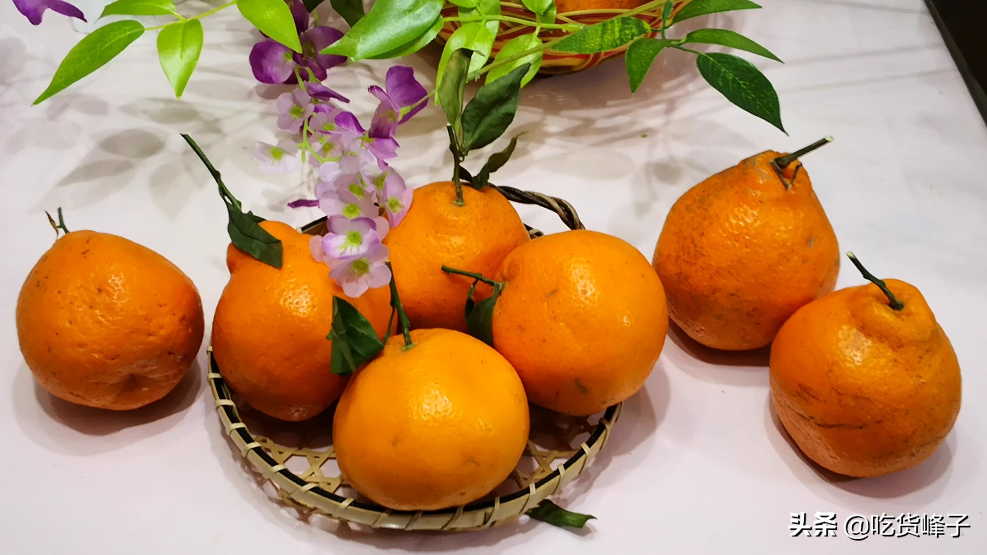 丑橘是转基因水果吗能吃吗,丑橘和转基因水果哪个好