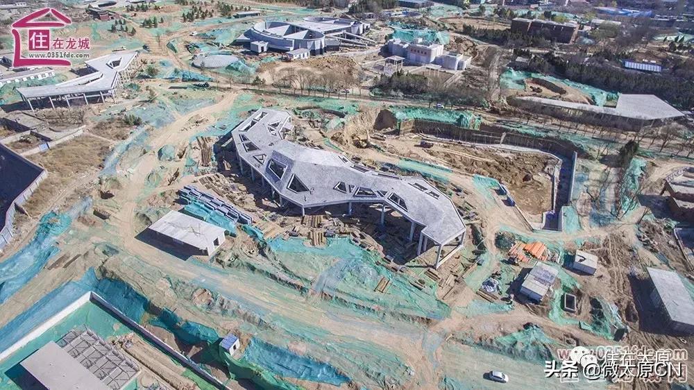 山西太原动物园最新消息,太原市动物园最新规划