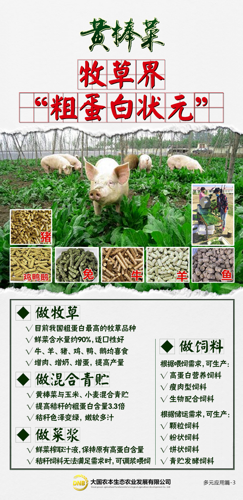 疫情期间养殖业如何自救,疫情结束后养殖业还能做么