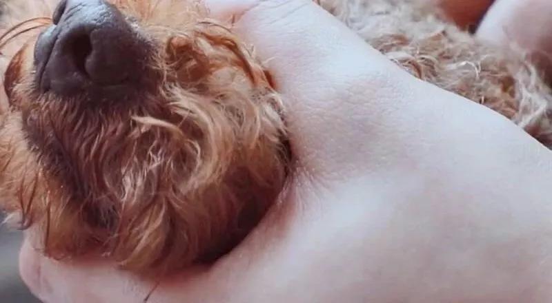 疫情怎么帮娃洗澡,疫情期间怎样在家洗澡