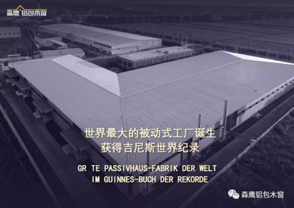 森鹰属于几线品牌,森鹰是几线品牌