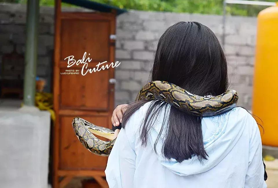 999玩转巴厘究竟嗨不嗨:香遇巴厘,南太平洋的风与海