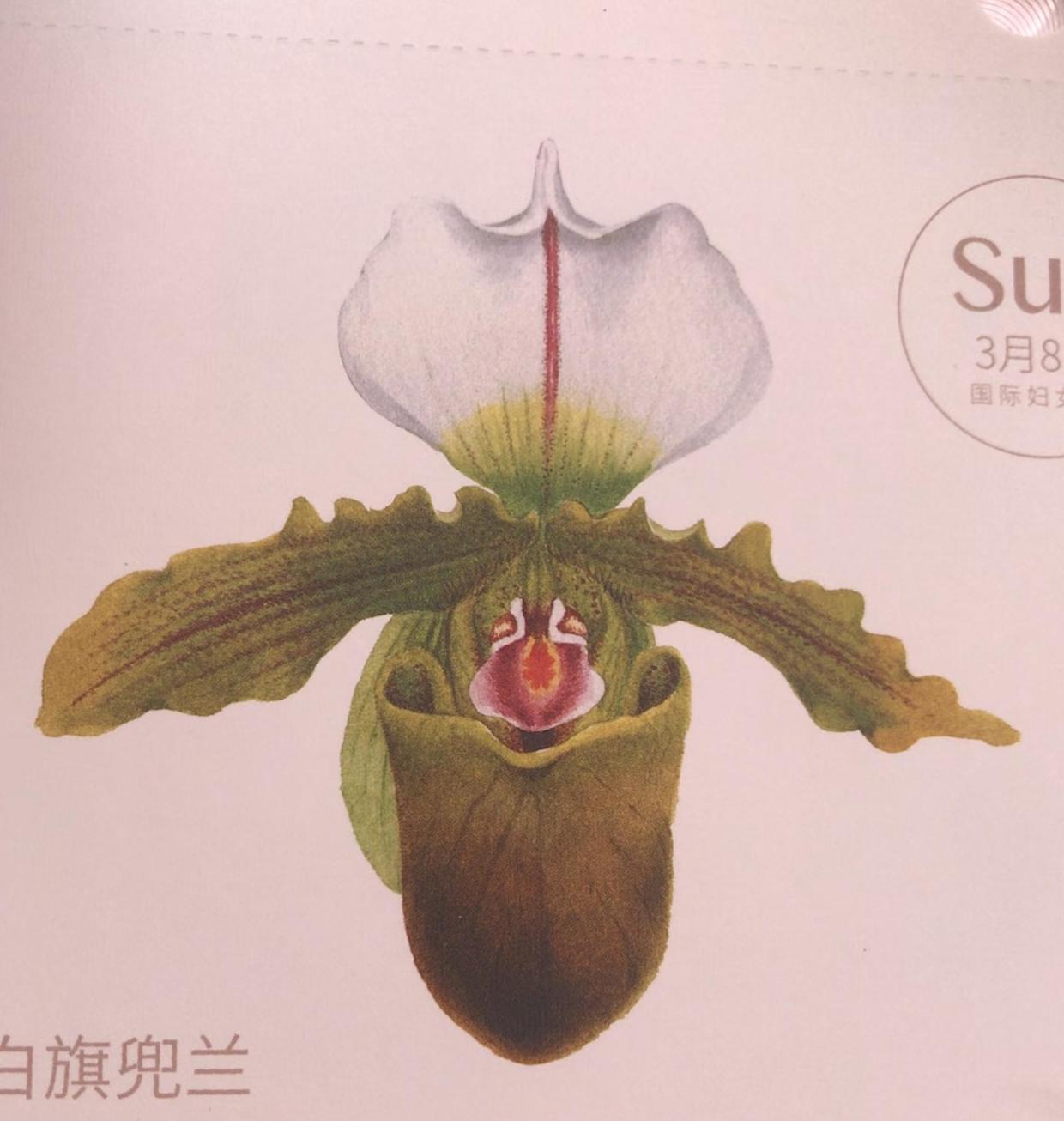 每日台历高清大图,2020年精美台历图片