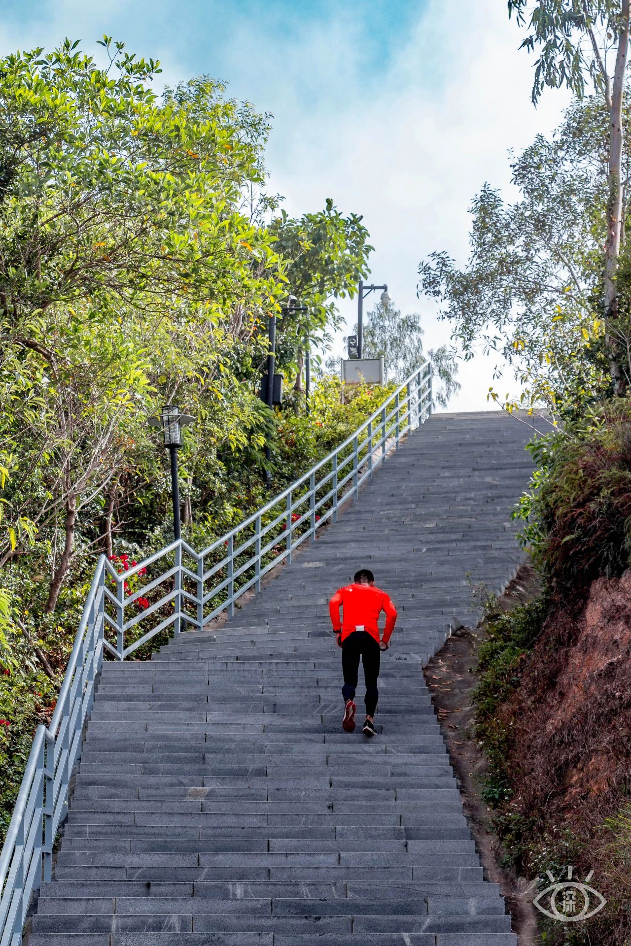 深圳旅游攻略地铁沿线景点,深圳市地铁2号线打卡的24个景点
