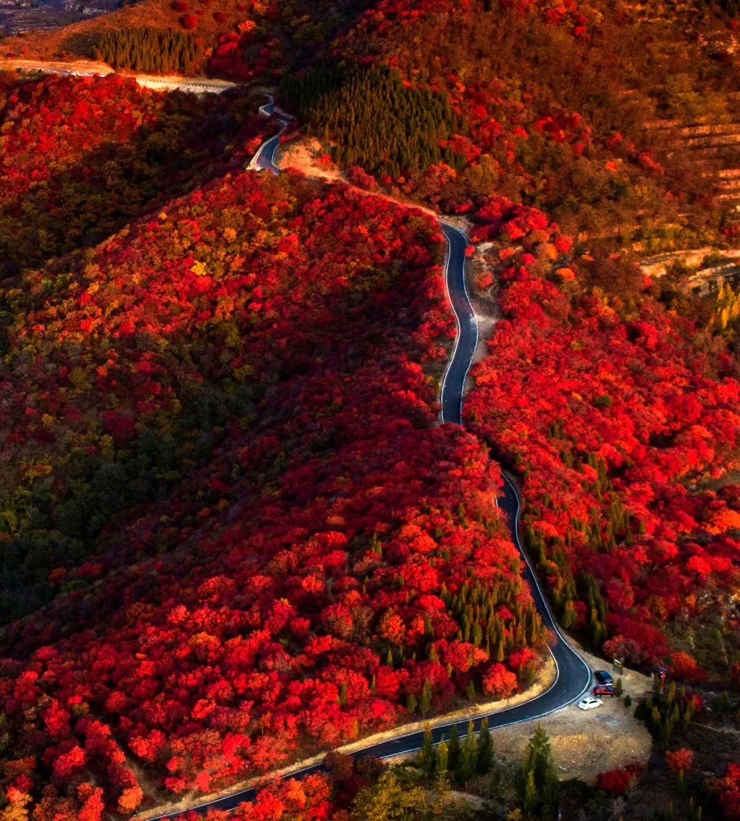 淄博市这个城市好吗,淄博这个城市怎么样