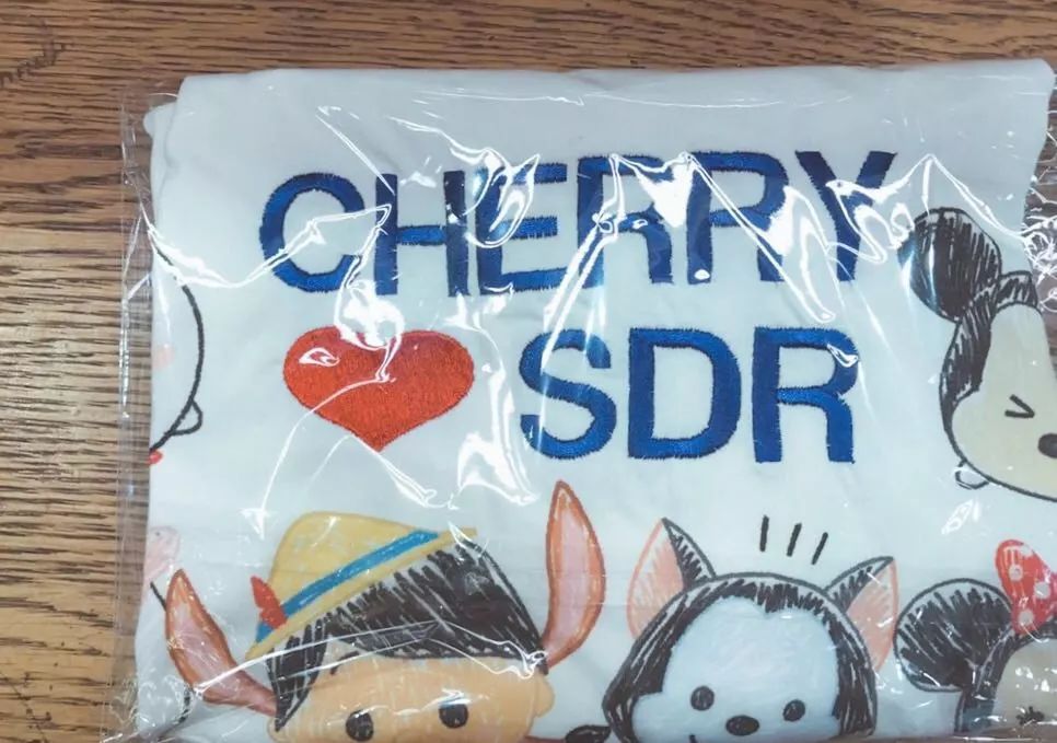 上海一日游迪士尼攻略 (上海迪士尼一日游攻略超全)