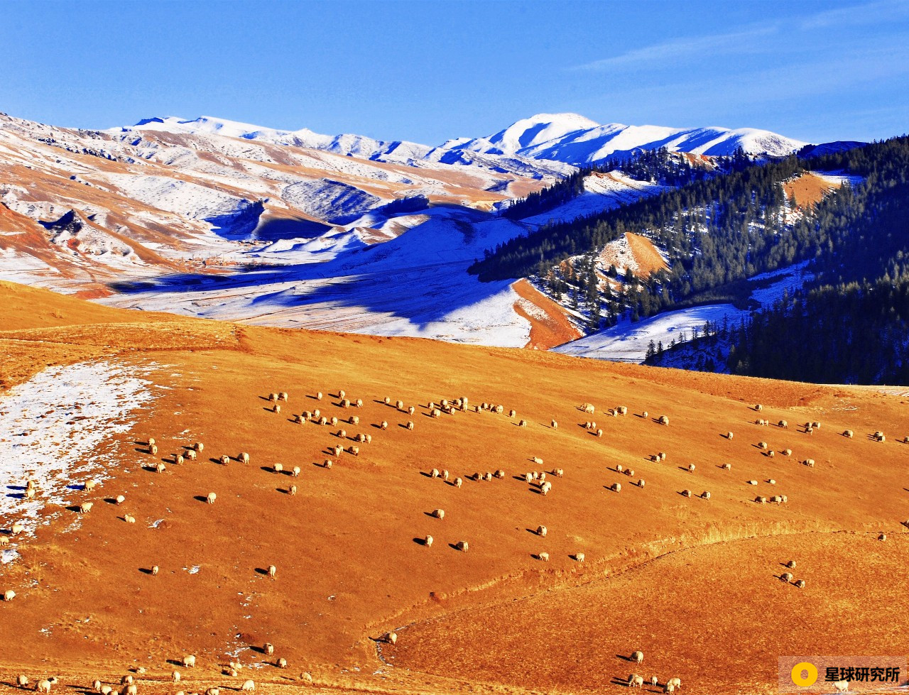 甘肃荒凉风景视频,甘肃荒凉的美景