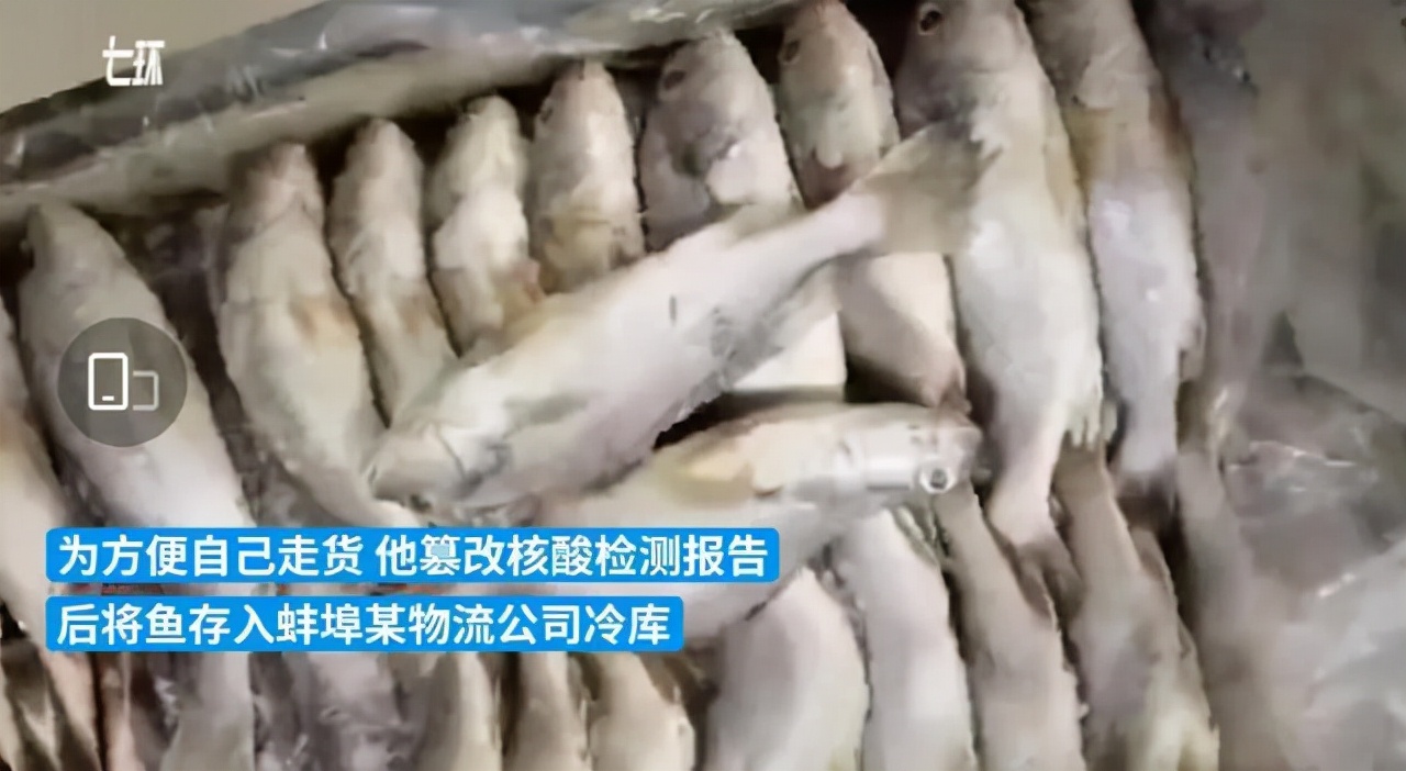 强抢抗疫捐赠红包，被判盗窃罪！