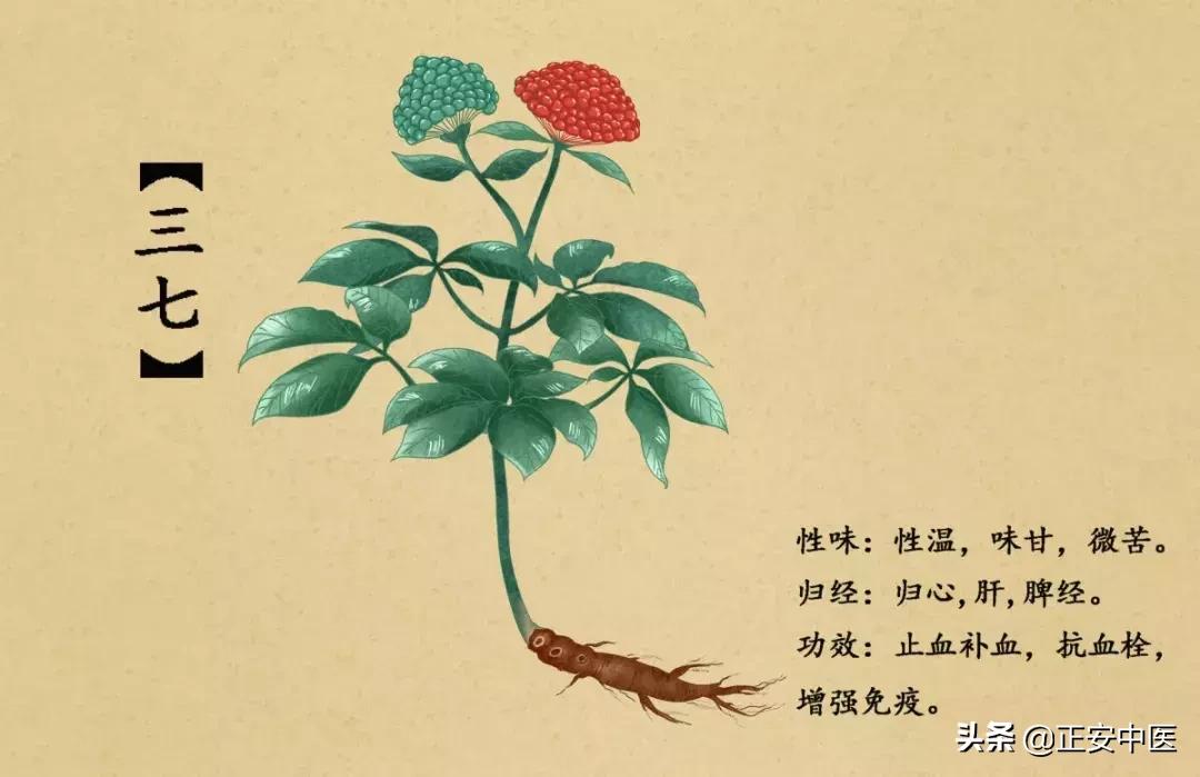 如何购买云南三七花,三七止血粉多少钱